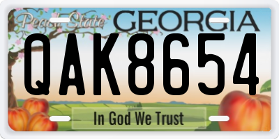 GA license plate QAK8654