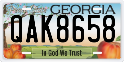 GA license plate QAK8658