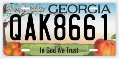 GA license plate QAK8661