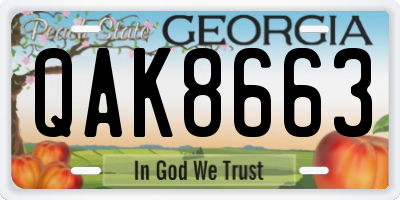 GA license plate QAK8663