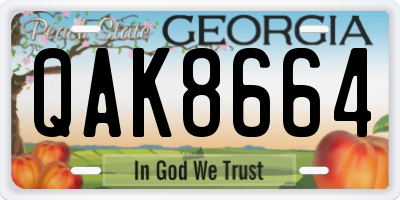GA license plate QAK8664