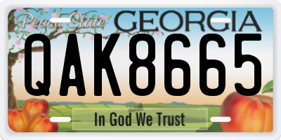 GA license plate QAK8665