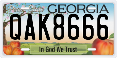 GA license plate QAK8666