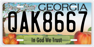 GA license plate QAK8667