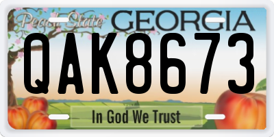 GA license plate QAK8673