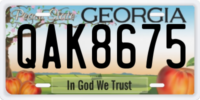 GA license plate QAK8675
