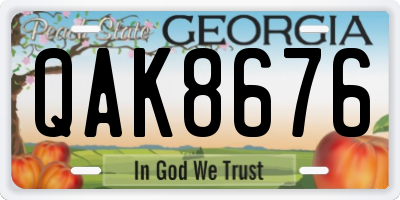 GA license plate QAK8676