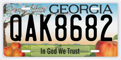 GA license plate QAK8682