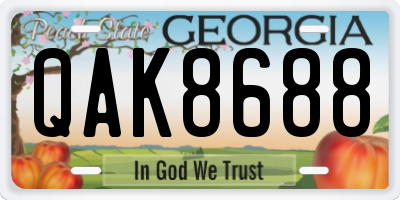 GA license plate QAK8688