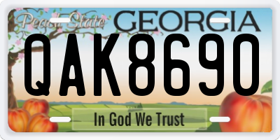 GA license plate QAK8690