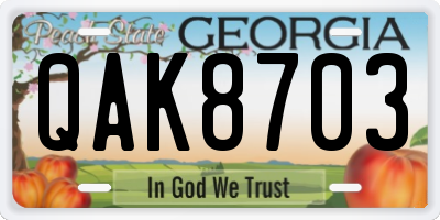 GA license plate QAK8703