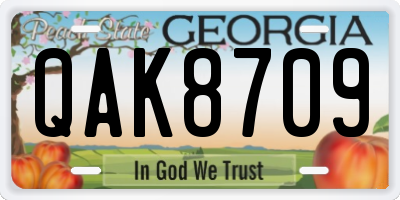 GA license plate QAK8709