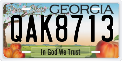 GA license plate QAK8713