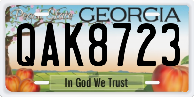 GA license plate QAK8723