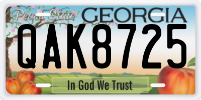 GA license plate QAK8725