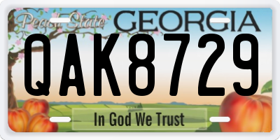 GA license plate QAK8729