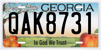 GA license plate QAK8731