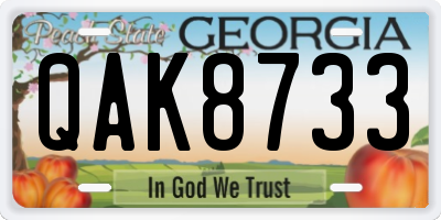 GA license plate QAK8733