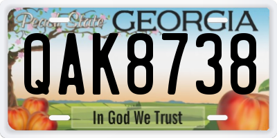 GA license plate QAK8738