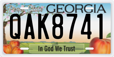 GA license plate QAK8741