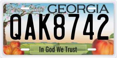 GA license plate QAK8742