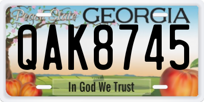 GA license plate QAK8745