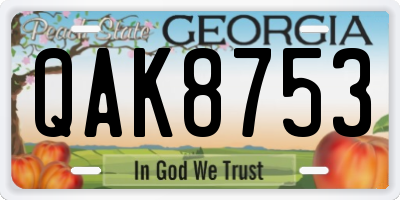 GA license plate QAK8753