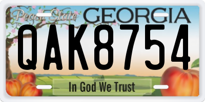 GA license plate QAK8754