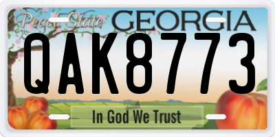 GA license plate QAK8773