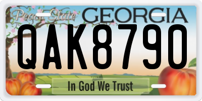 GA license plate QAK8790