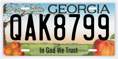 GA license plate QAK8799