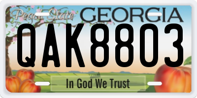 GA license plate QAK8803