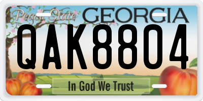 GA license plate QAK8804