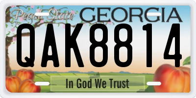 GA license plate QAK8814