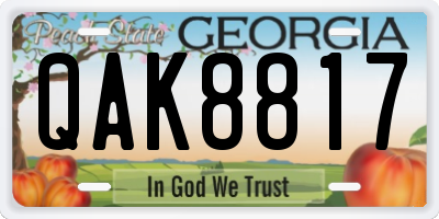 GA license plate QAK8817