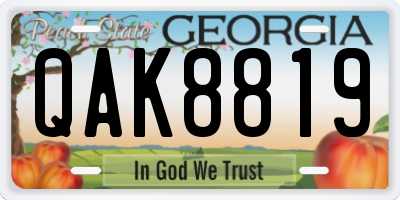 GA license plate QAK8819