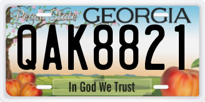 GA license plate QAK8821
