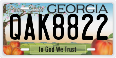 GA license plate QAK8822