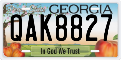 GA license plate QAK8827