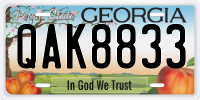 GA license plate QAK8833