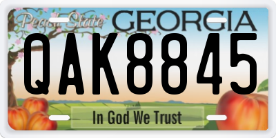 GA license plate QAK8845
