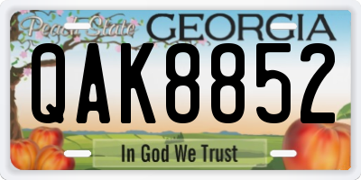 GA license plate QAK8852