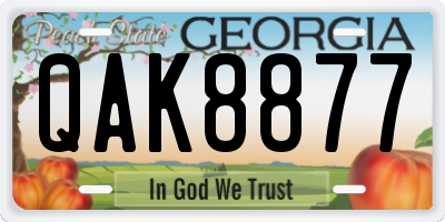 GA license plate QAK8877