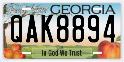 GA license plate QAK8894