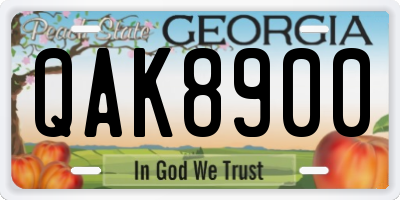 GA license plate QAK8900
