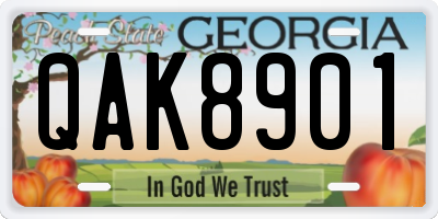 GA license plate QAK8901