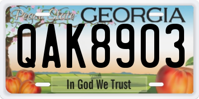 GA license plate QAK8903