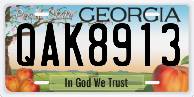 GA license plate QAK8913