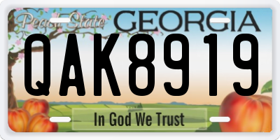 GA license plate QAK8919