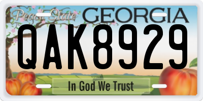 GA license plate QAK8929